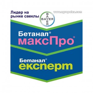 Бетанал Эксперт
