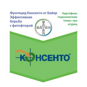 Консенто