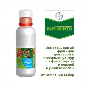 Инфинито