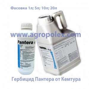 Пантера Кемтура