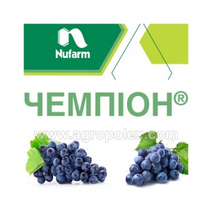 Чемпион