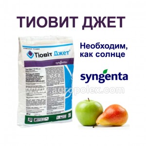 Тиовит Джет