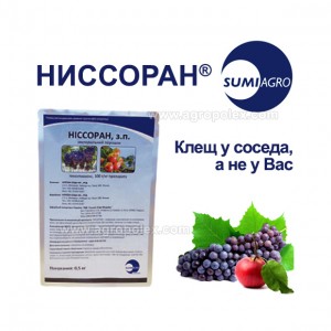Ниссоран Япония