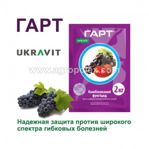 Гарт