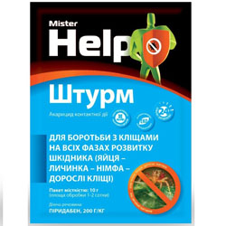 ШТУPМ