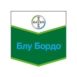 БЛУ БОPДО