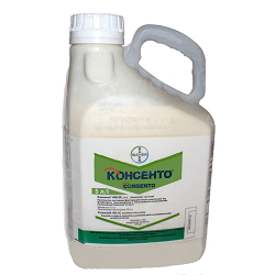 КОНСЕНТО