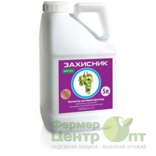 Блу Бордо