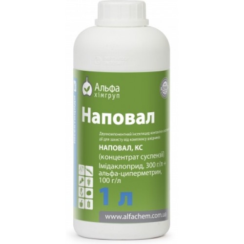 Наповал