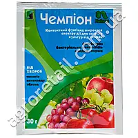 Чемпион 77%