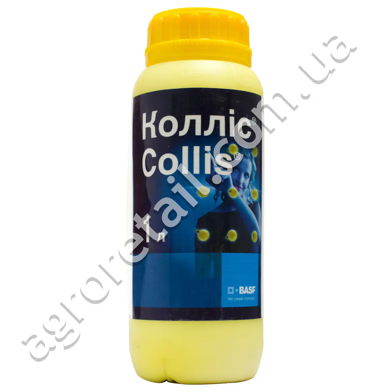 Коллис