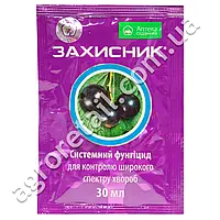 Захисник