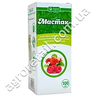 Мастак
