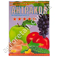 Антракол