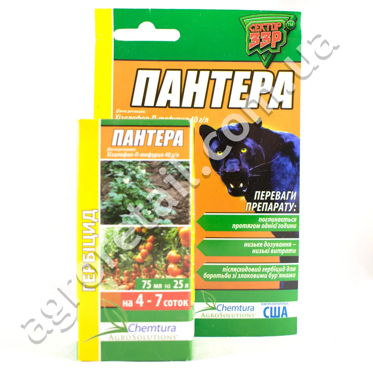 Пантера