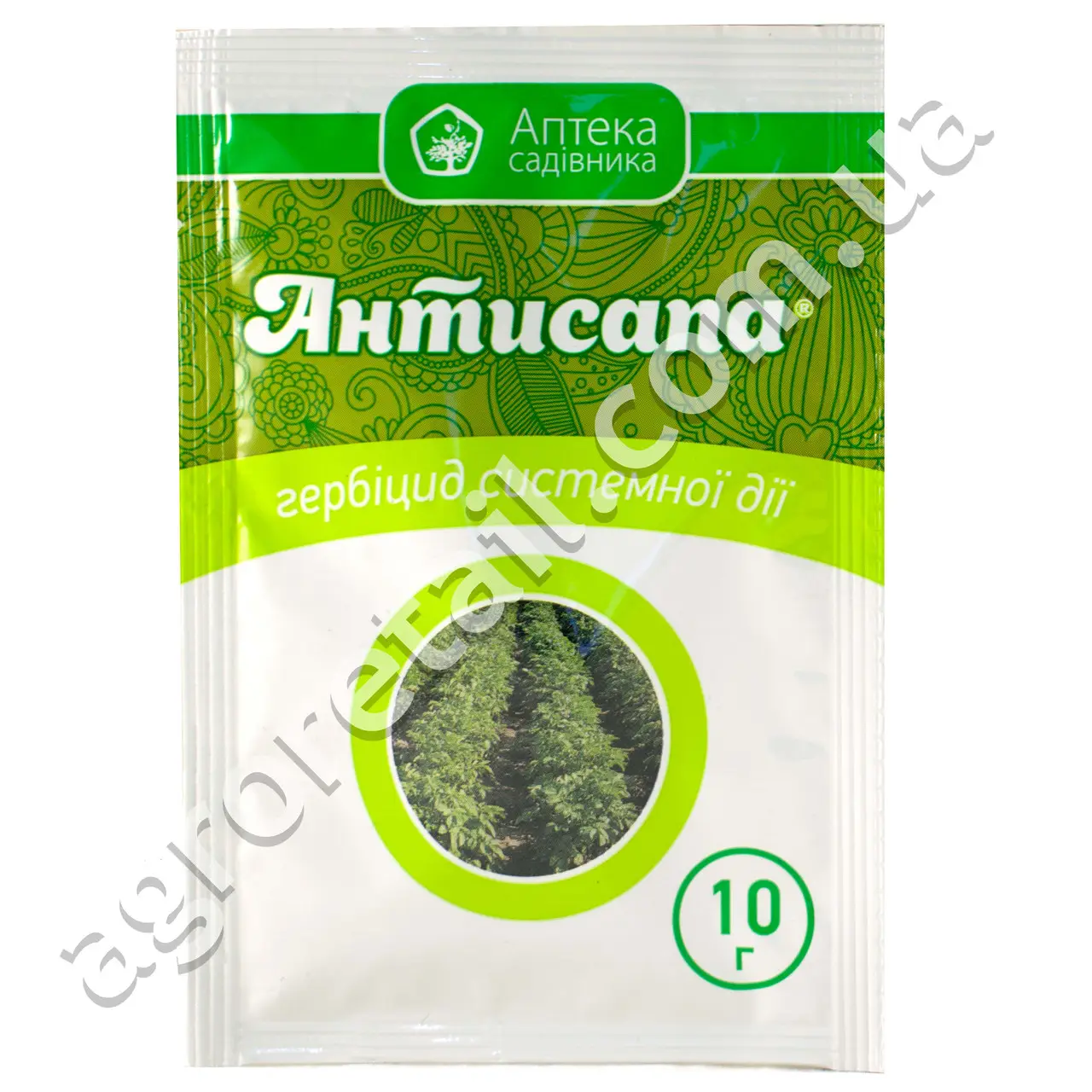 Антисапа