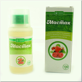 Мастак