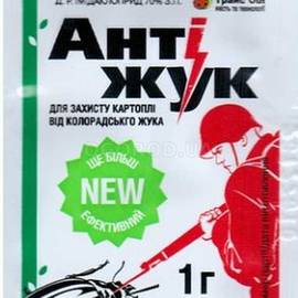 Антижук