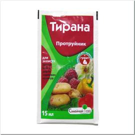Тирана