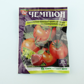 Чемпион
