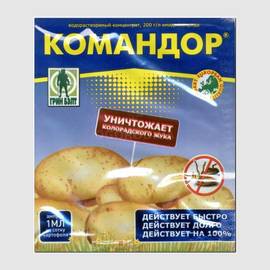 Командор