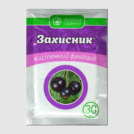 Захисник