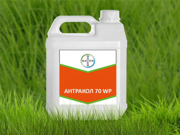 Антракол 70 WP