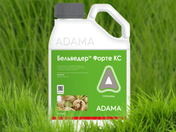 Бельведер Форте