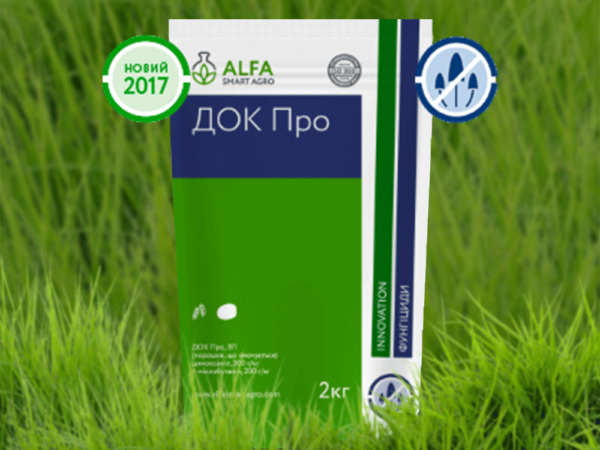 ДОК Про