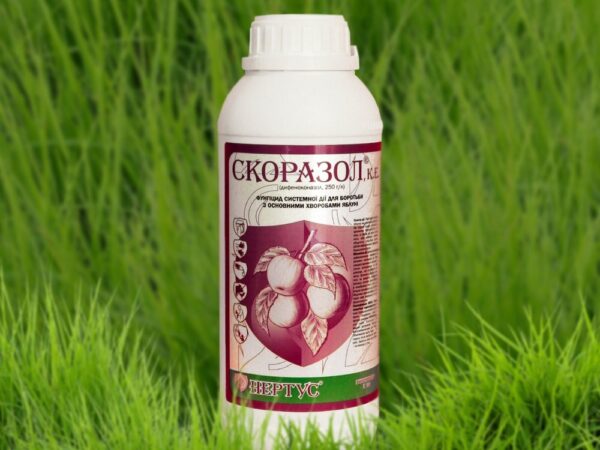 Скоразол (Скор)