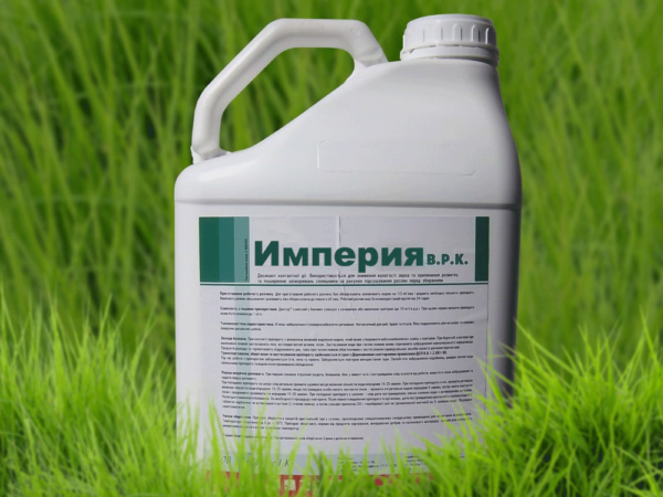 Империя
