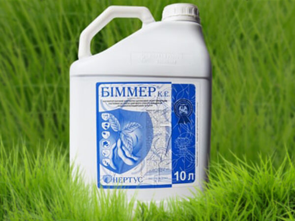 Биммер