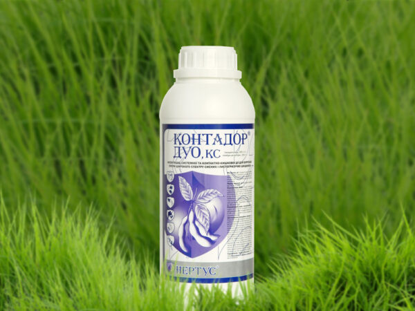 Контадор Дуо