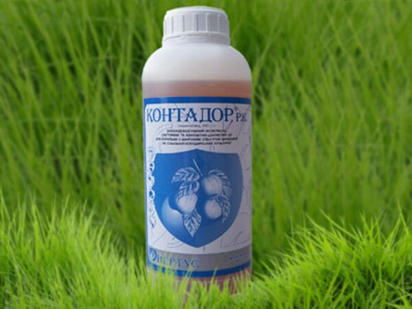 Контадор