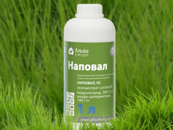 Наповал