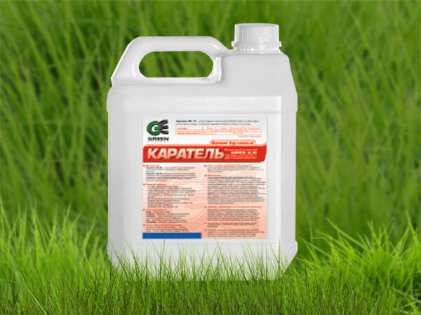 Каратель