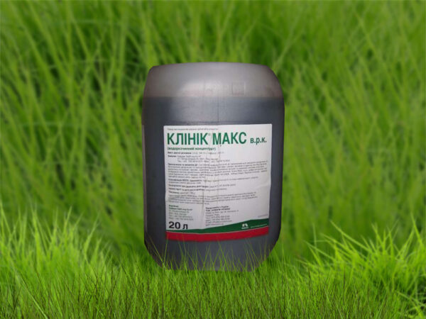 Клиник Макс