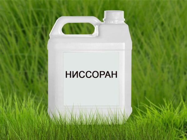 Ниссоран
