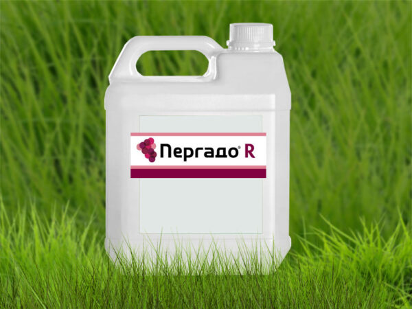 Пергадо R 270 WG
