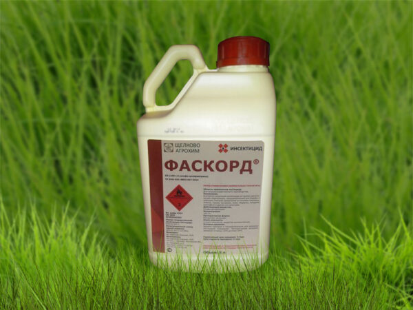 Фаскорд