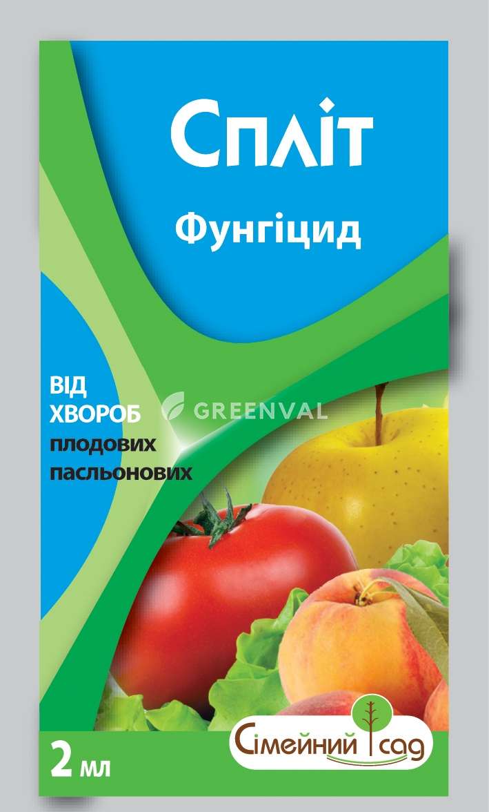 Спліт, КЕ